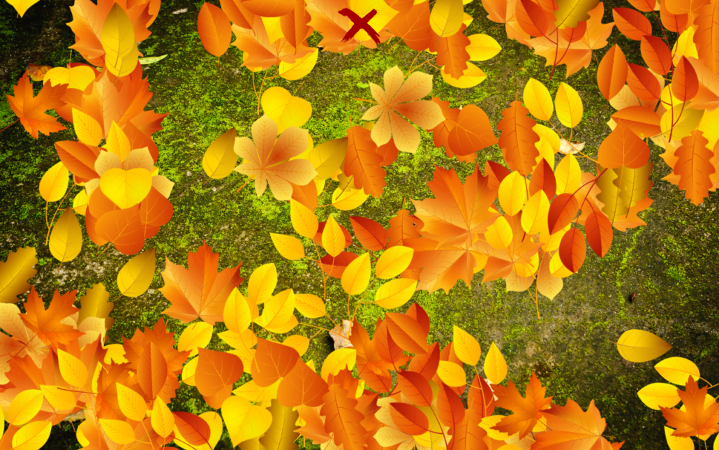 Nye spil og ny software opdatering